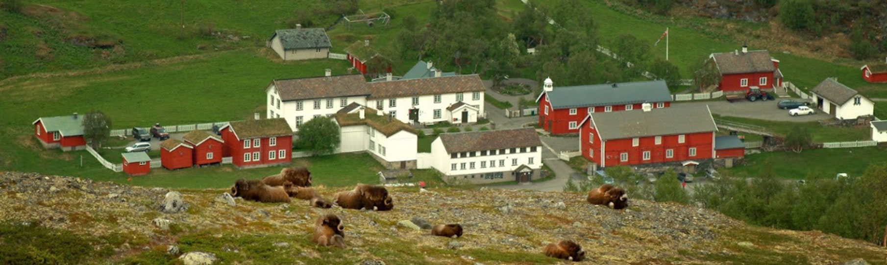 Hovedbilde for Kongsvold Fjeldstue Sprinkler